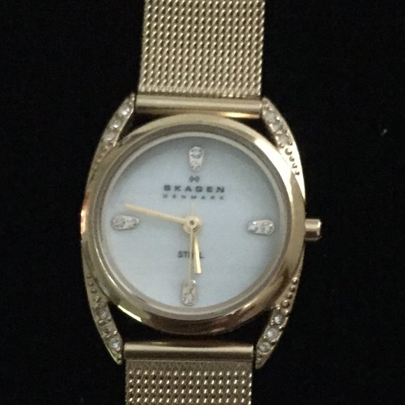 Skagen Accessories - SKAGEN DENMARK STEEL GOLD TONE LADIES WATCH
